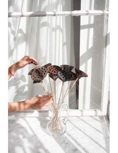 Suszona kula mintola