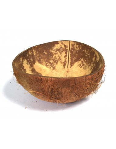 Naturalna łupina kokosa
