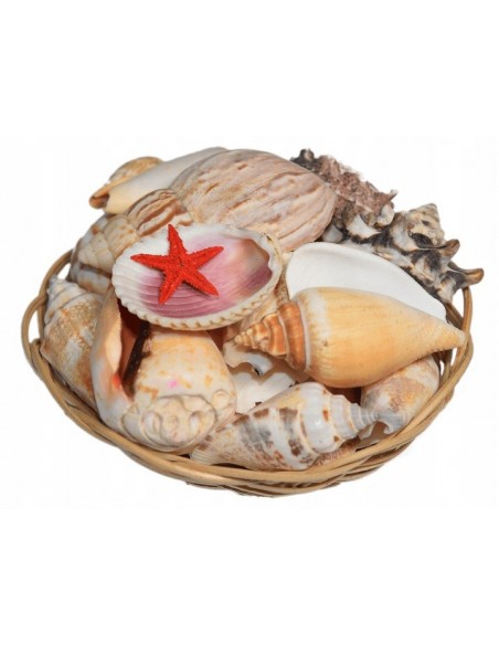 Muszelki morskie naturalne mix w koszyczku