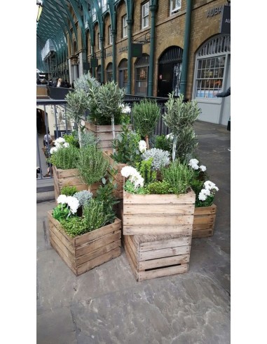 Skrzynka drewniana na kwiaty 20x15x9 CM