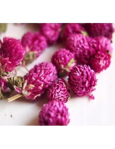 Suszone kwiaty wiecznika do świec...